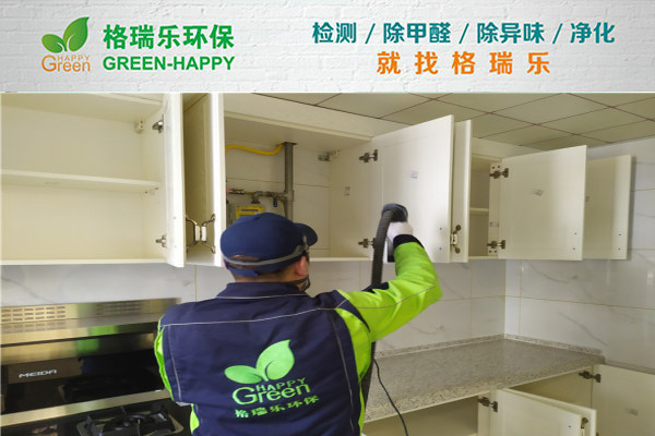 武漢除甲醛案例-漢街壹號公館