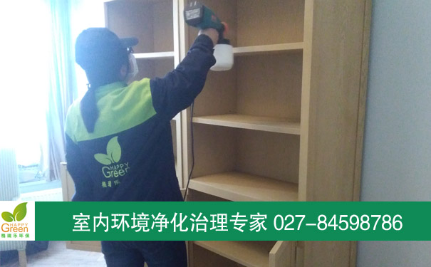 江岸后湖石橋花園新房除甲醛