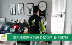武漢漢陽區(qū)海倫春天室內(nèi)空氣檢測 武漢漢陽區(qū)海倫春天室內(nèi)空氣檢測
