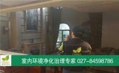 武漢市經(jīng)開東方夏威夷別墅甲醛治理 武漢市經(jīng)開東方夏威夷別墅甲醛治理