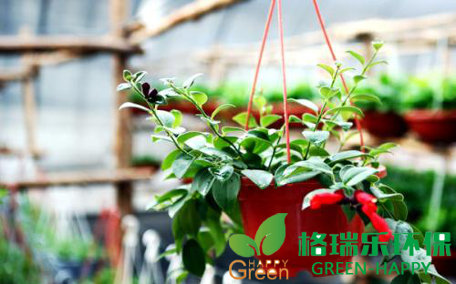 甲醛治理，甲醛污染，格瑞樂(lè)，武漢除甲醛，凈化委湖北中心