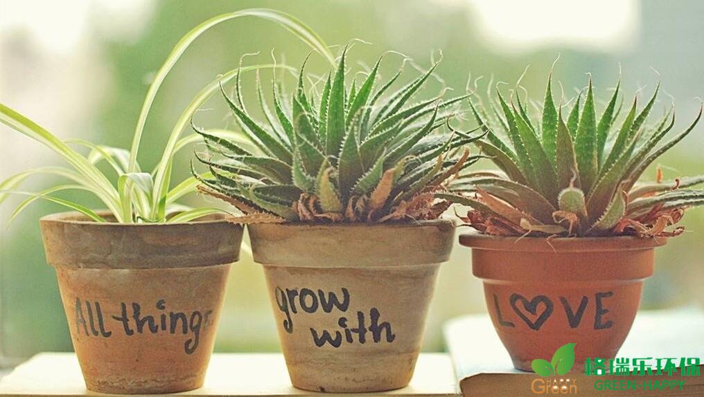 甲醛治理，甲醛污染，格瑞樂，武漢除甲醛，