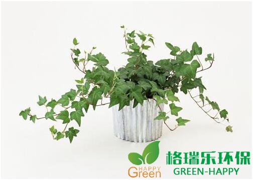 甲醛治理，甲醛污染，格瑞樂(lè)，武漢除甲醛，