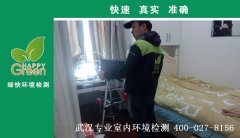 武漢王家灣中央生活區(qū)新房甲醛檢測(cè)