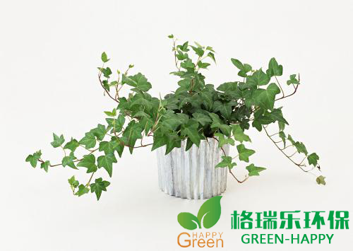 甲醛檢測(cè)，甲醛污染，武漢除甲醛，格瑞樂，甲醛治理，綠快