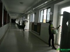 小學教室以及辦公室甲醛治理