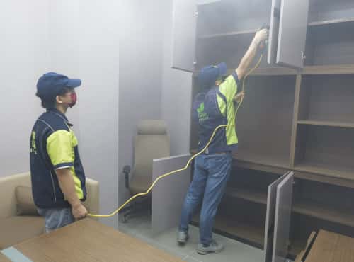 格瑞樂環(huán)保，搞邪了！”——一個武漢“歪果仁”的除醛初體驗