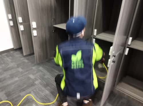 武漢除醛創(chuàng)業(yè)，前景真敞亮！