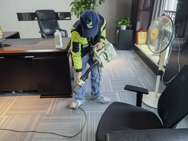 武漢除甲醛：4種常見招兒靠譜嗎？